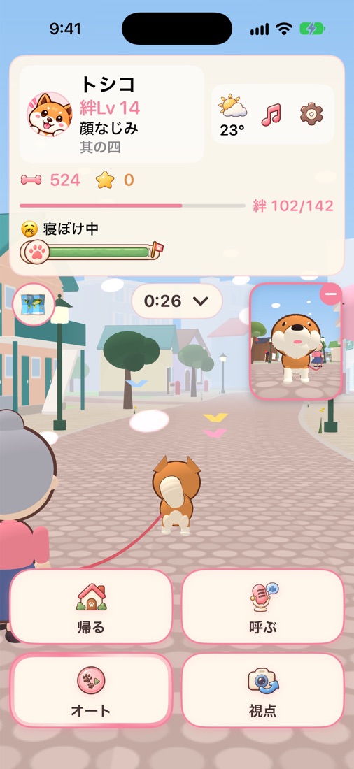 石畳の通りをトシコとお散歩する様子